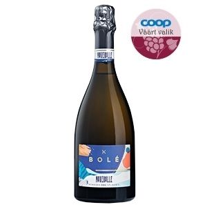 Bolé Romagna Brut vahuvein 0.75L