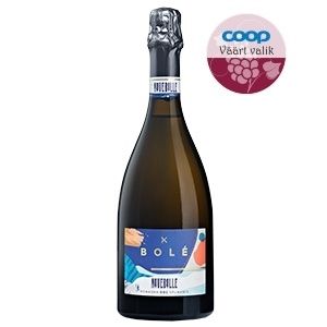 Bolé Romagna Brut vahuvein 0.75L