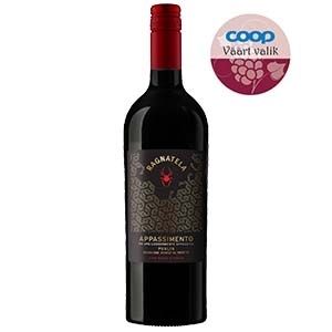 Ragnatela Appassimento Puglia 0.75L  punane vein